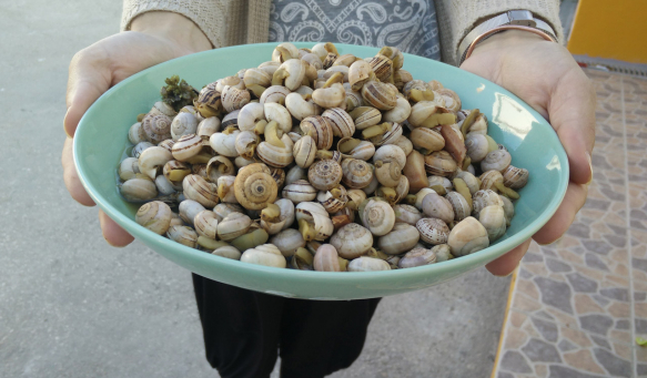 Caracóis prontos a servir